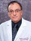 Levy David